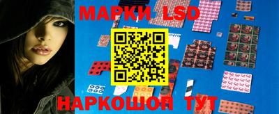 гидра Дубна