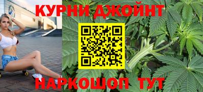 гидра Дубна