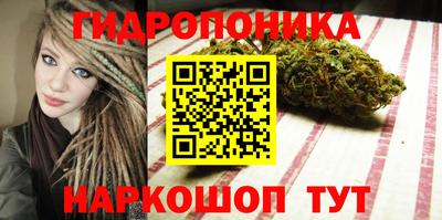 гидра Дубна