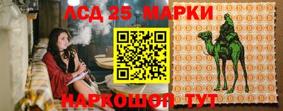 гидра Дубна