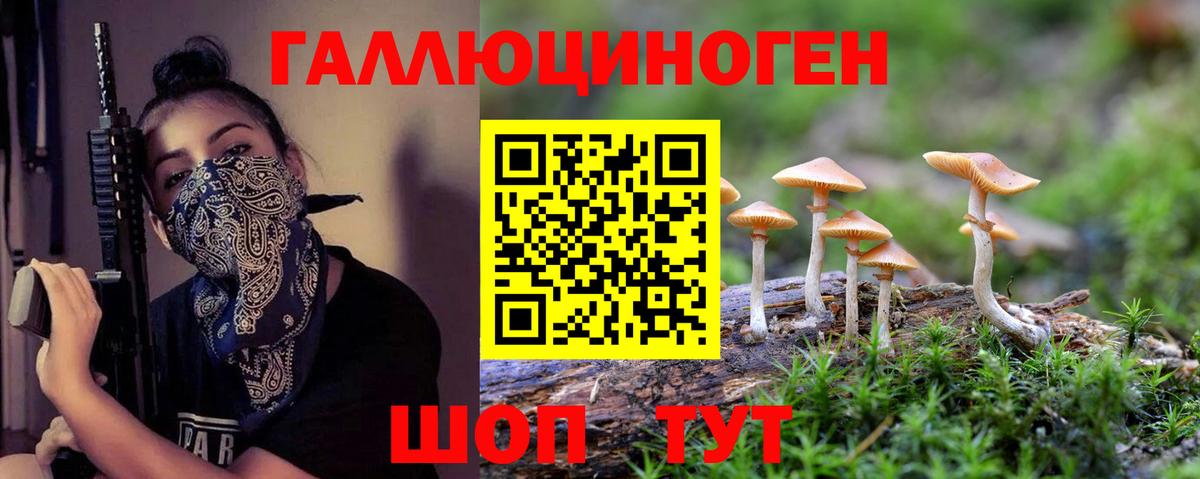 Галлюциногенные грибы Magic Shrooms  Вход с VPN  Галлюциногенные грибы Magic Shrooms  Михайловск 