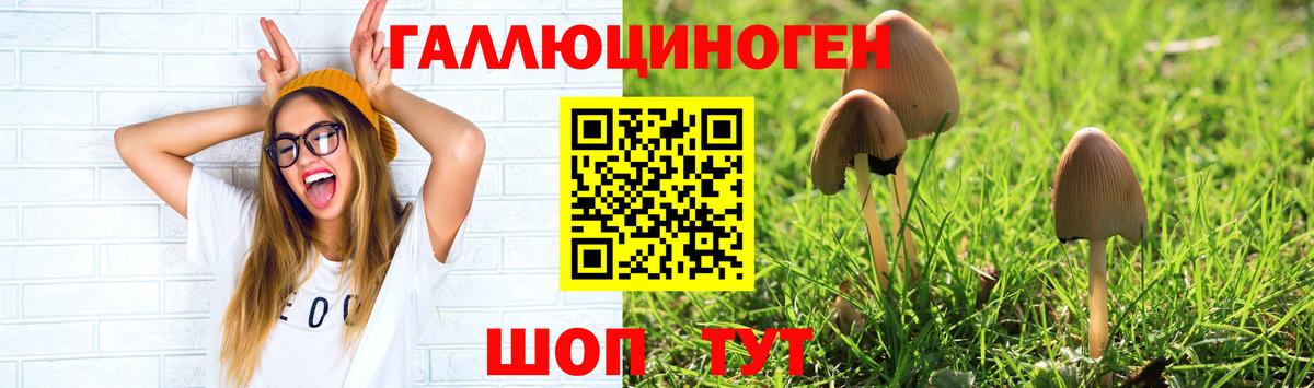 Псилоцибиновые грибы мухоморы Михайловск