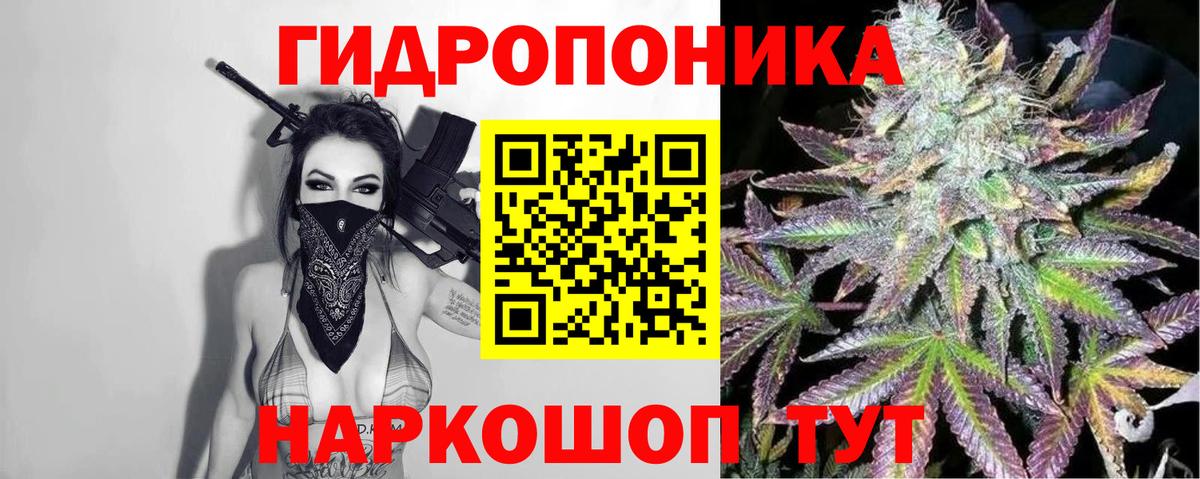 Бошки Шишки Bruce Banner Михайловск